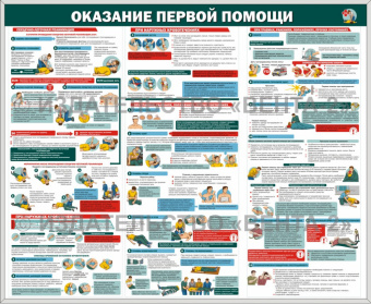 Стенд по оказвнию первой помощи